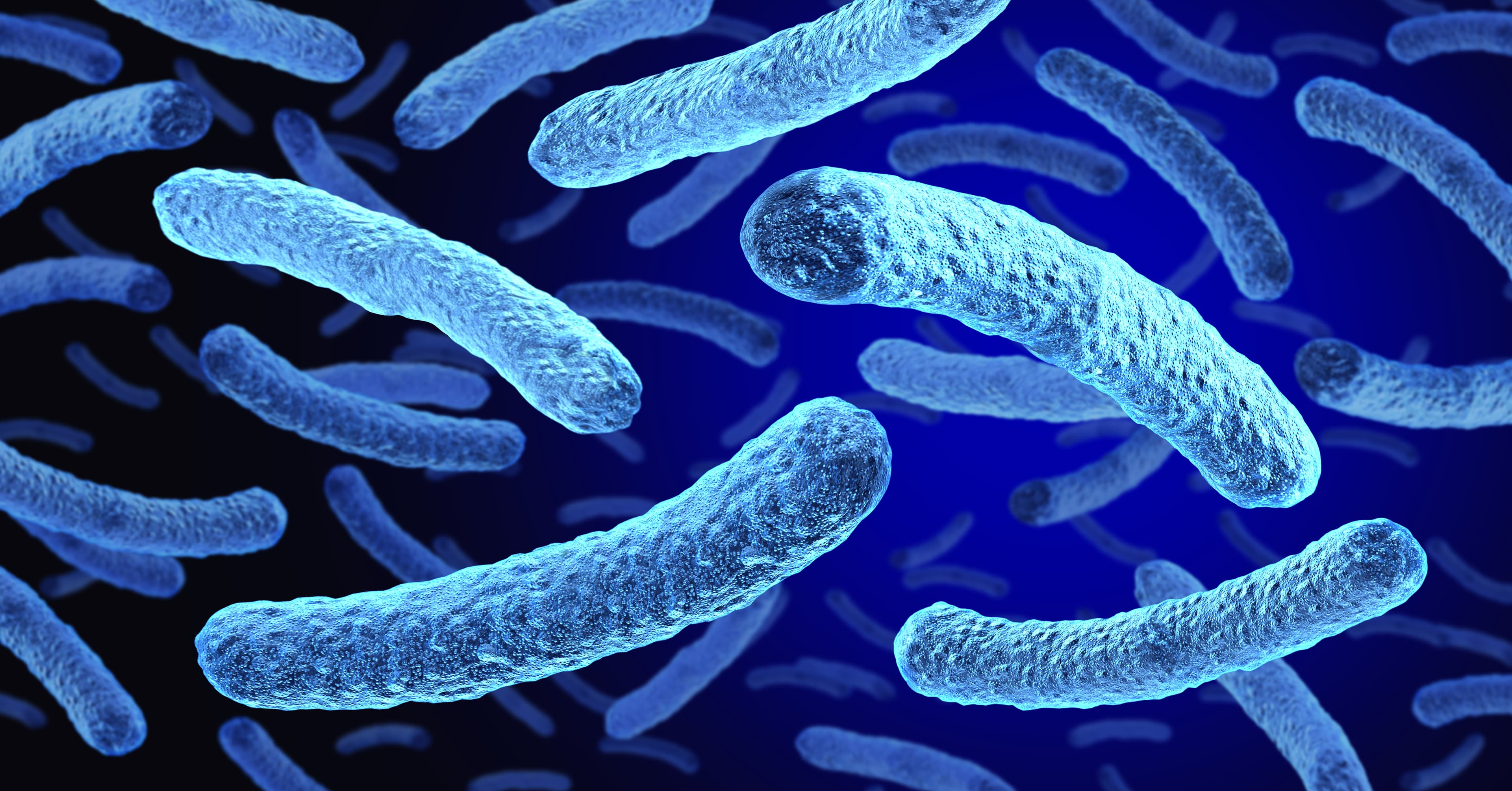 2nd victim to die in Upper East Side Legionnaires' outbreak was Air Force veteran